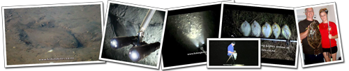 Underwater LED flounder gigging lights