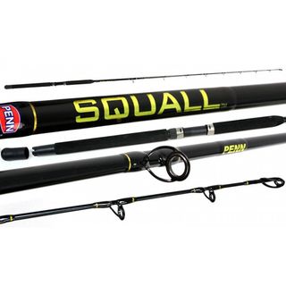 Penn Squall 5'6 15-24kg 1 Piece Overhead Rod