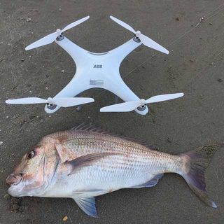 Drone Fishing Catches