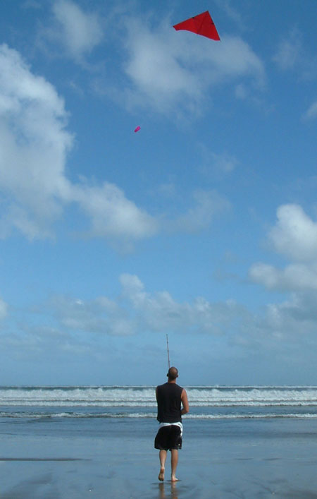 Flexiwing Kite