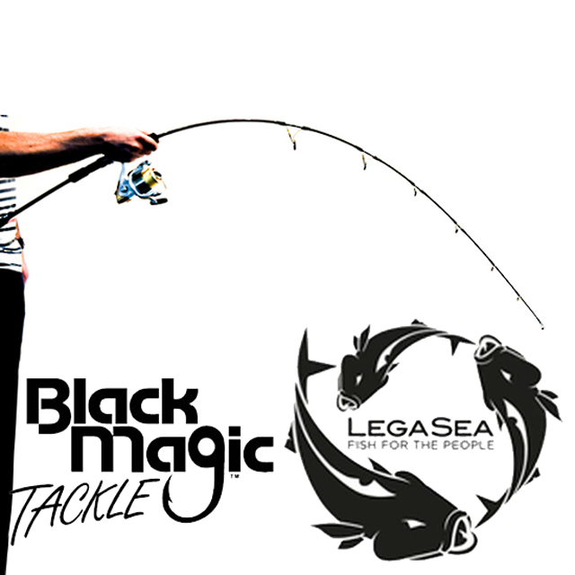 Black Magic Light-Jigging 173 Rod