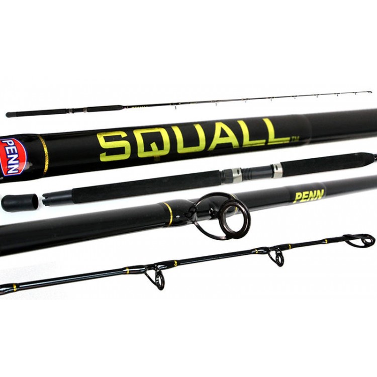 Penn Squall 6'6 6-10kg 1 Piece Overhead Rod